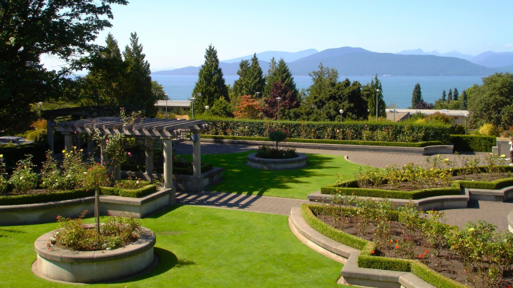 I Was Called Out by Teachers from Hong Kong